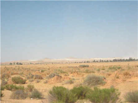 中國網庫破碎設備PCB 破碎機