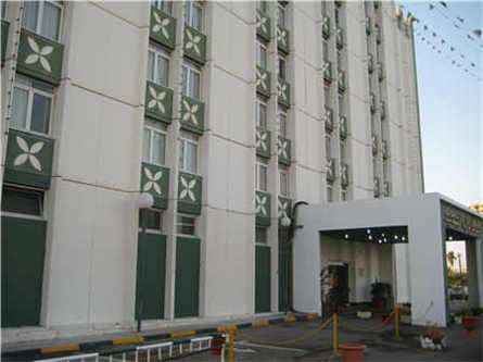 活性炭壓塊機(jī)