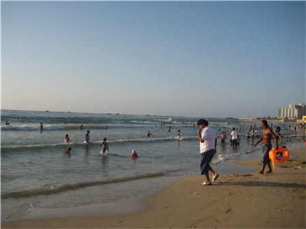 打包帶專用粉碎機