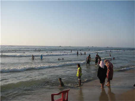 重質碳酸鈣活化機器