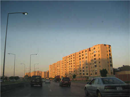 粉碎機的錘片價格